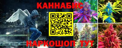 не бодяженный Сланцы